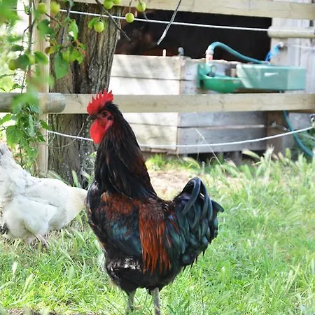 La Petite Ferme 3*