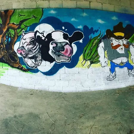 לינה וארוחת בוקר La Petite Ferme Mazé