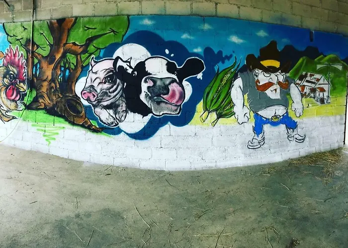 Bed & Breakfast La Petite Ferme Mazé